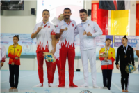 3. Artistik Cimnastik world Challange Cup 2019  Mersin Final